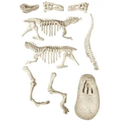 Ciencia y Juego Lab Arqueo Jugando T-Rex Brilla en la Oscuridad