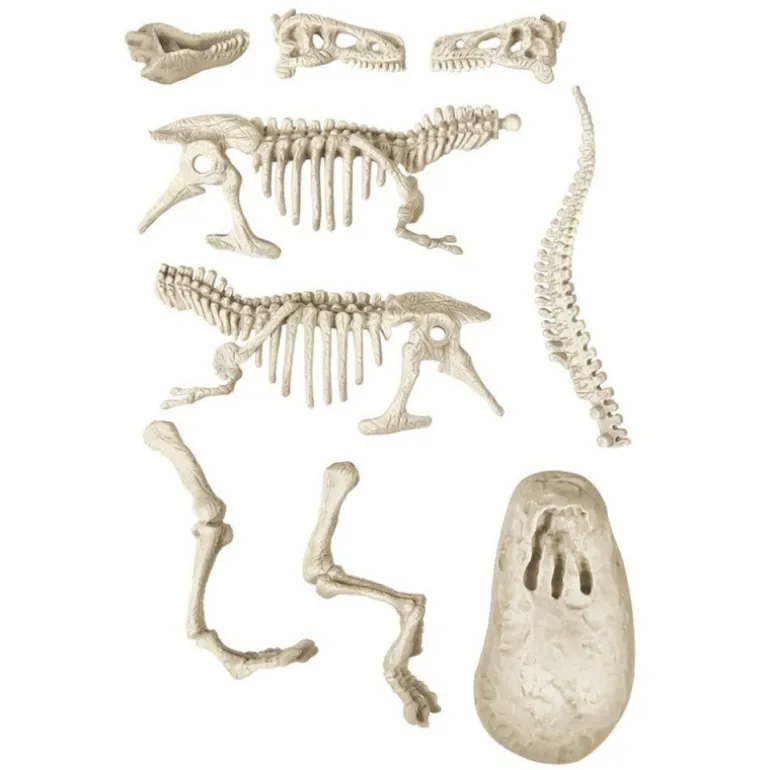 Ciencia y Juego Lab Arqueo Jugando T-Rex Brilla en la Oscuridad