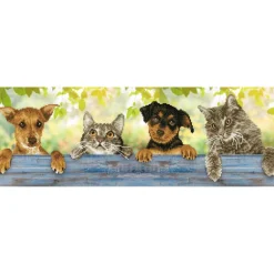 Diamond Dotz Hang In There