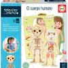 El Cuerpo Humano