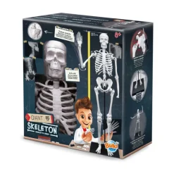 Esqueleto 85 cm