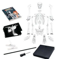 Esqueleto 85 cm