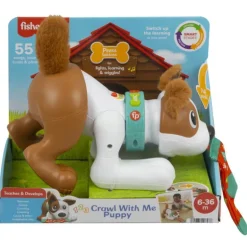 Fisher-Price Perrito Gatea y Juega Conmigo