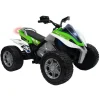 Injusa Quad Rage 24V con Luces y Ruedas Eva - 8410964073026