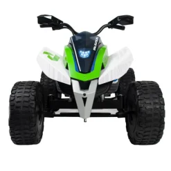 Injusa Quad Rage 24V con Luces y Ruedas Eva - 8410964073026