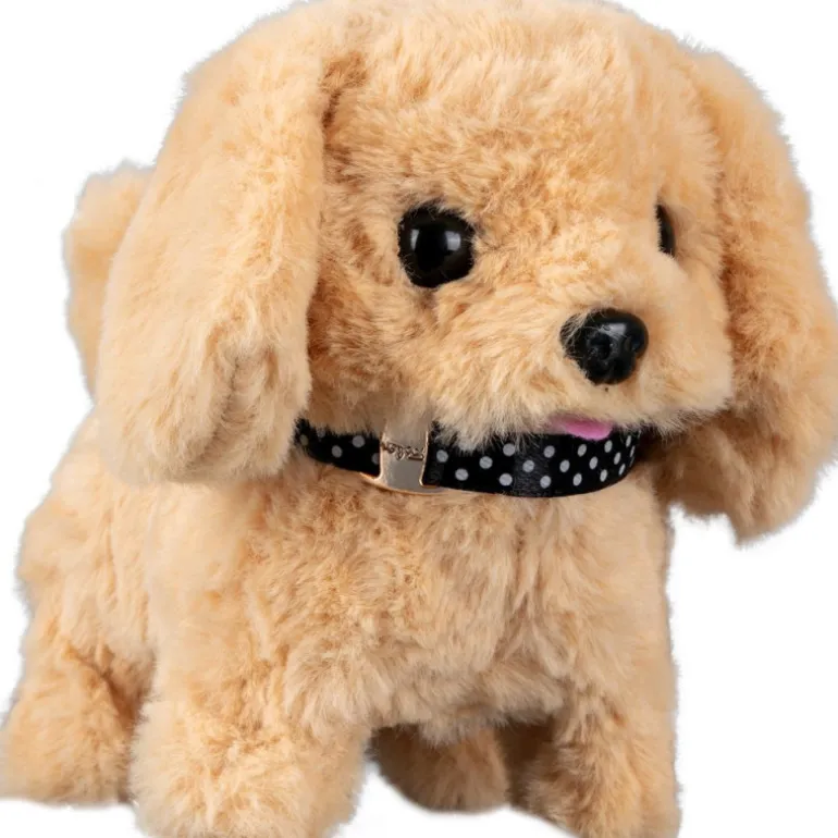 Mascottas Peluquería Canina