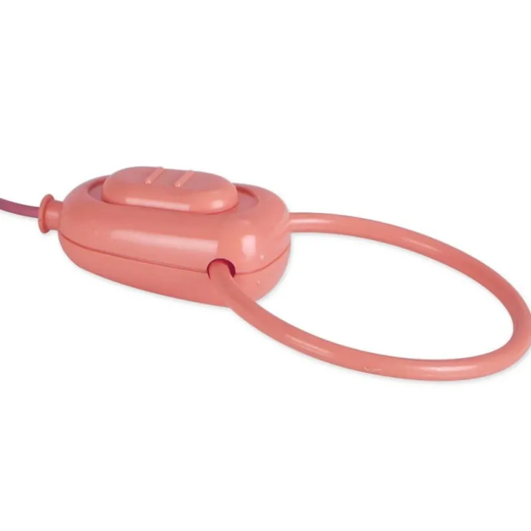 Mascottas Perrito Caniche