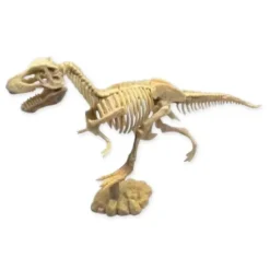 Scientific Tools Set De Excavación