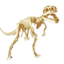 Scientific Tools Set De Excavación